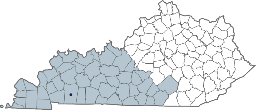 Kentucky Service Area
